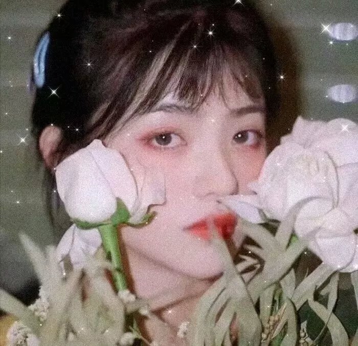 赵逸晨