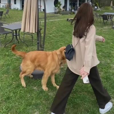 周晓棠